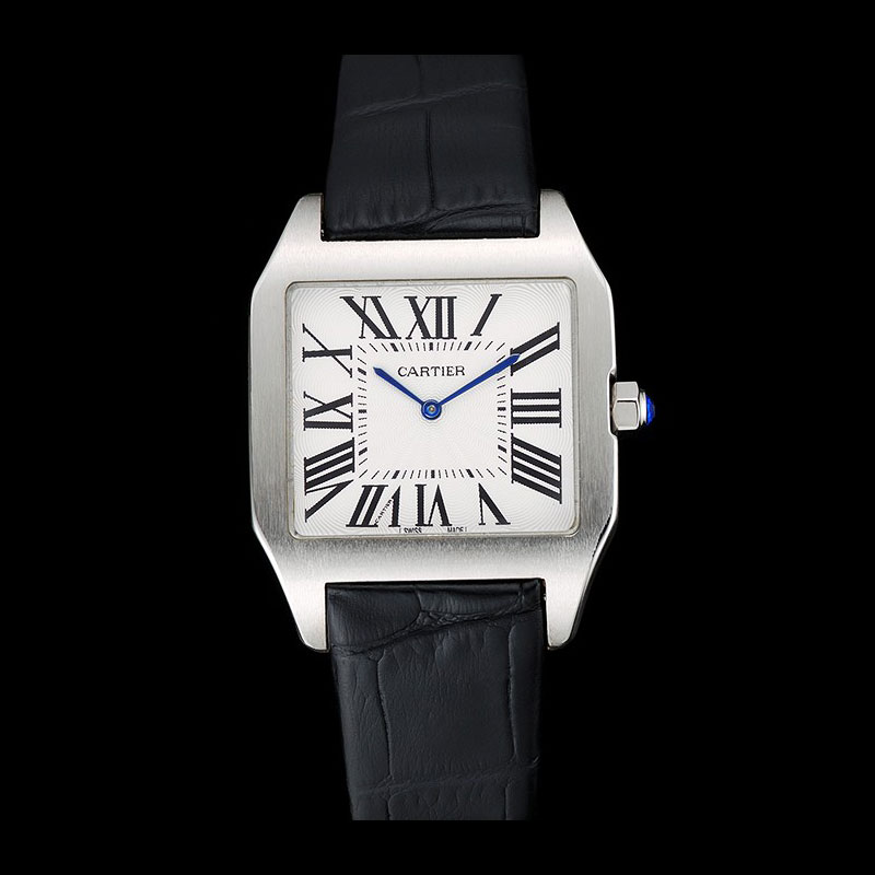 Cartier Santos 100 Polished Stainless Steel Bezel CTR6043