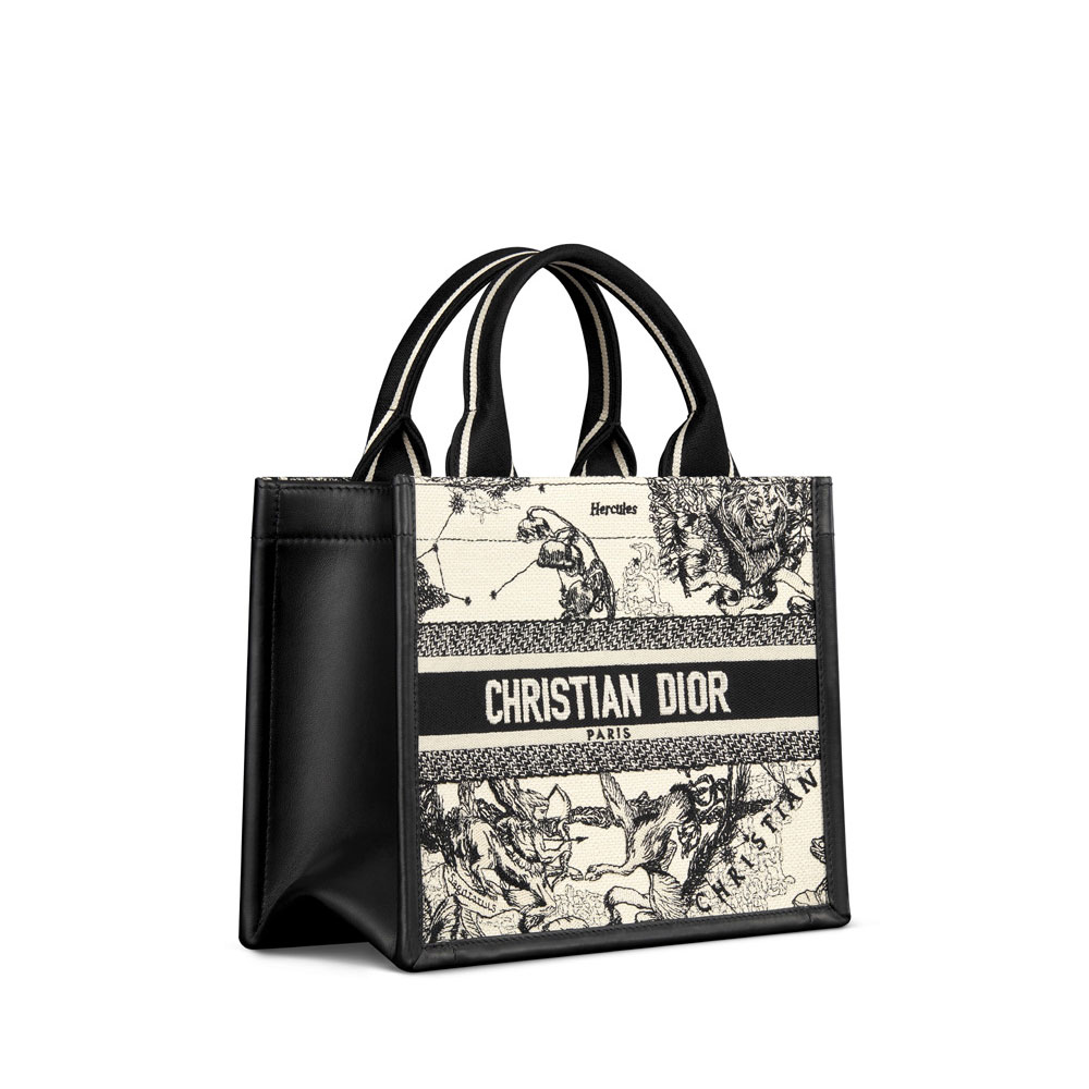 Small Dior Book Tote M1325CETW M06E - Photo-2