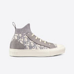 Walk n Dior Sneaker Gray Dior Oblique Technical Mesh KCK233TOK S29G