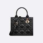 Small Dior Book Tote M1325OWHP M900