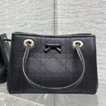 Small Dior Promenade Shopping Bag Black M1410OHST M911