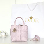 Small Dior Toujours Vertical Tote Bag Rose M2835OSNW M29N