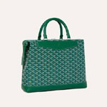 Goyard Cisalpin Document Case in Green CISDOCPMLTY09CL09P