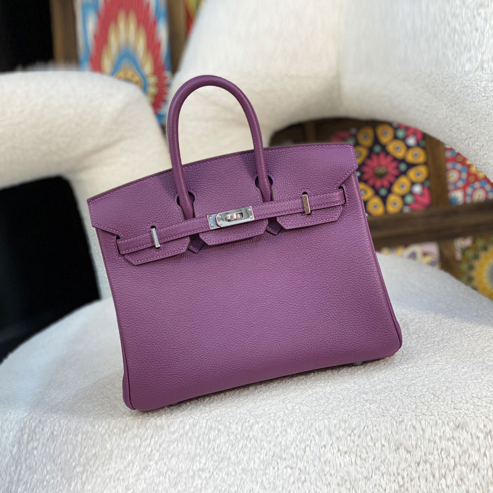 Hermes 25cm Birkin Bag in Purple Togo H041344C005