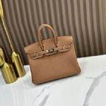 Hermes 25cm Birkin Bag in Brown Togo H041344C006