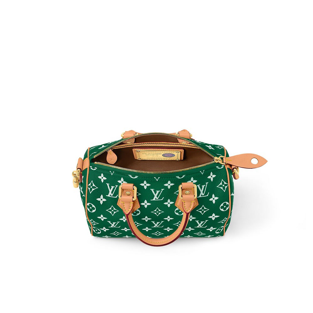 Louis Vuitton Runway Speedy P9 Bandouliere 25 M24423 - Photo-2