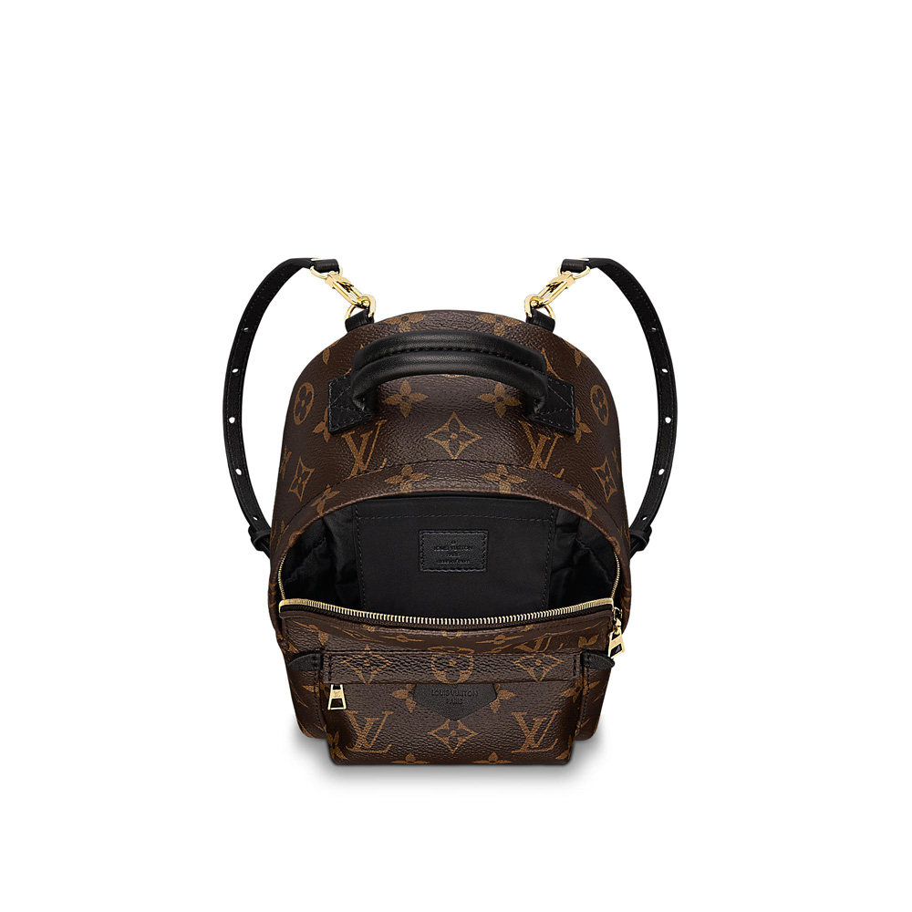 Louis Vuitton Palm Springs Backpack Mini M41562 - Photo-2