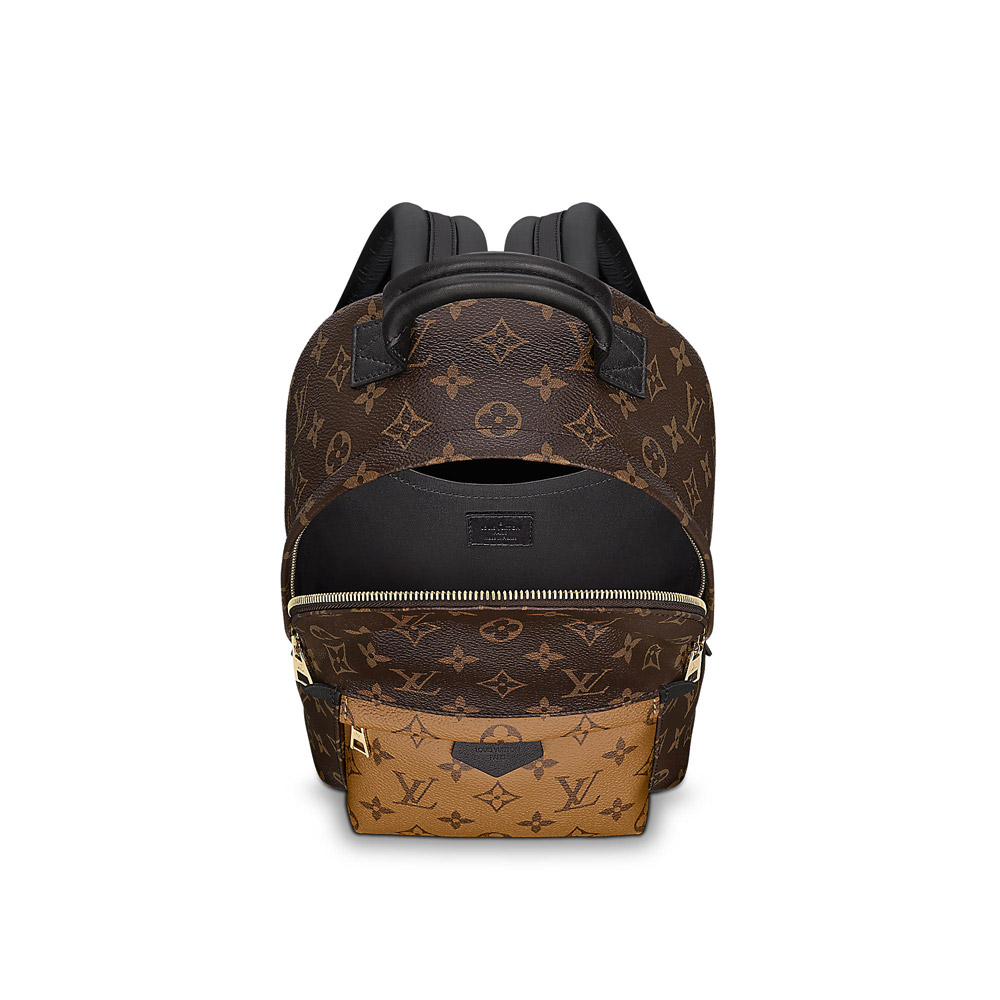 Louis Vuitton Palm Springs Backpack PM M43116 - Photo-2