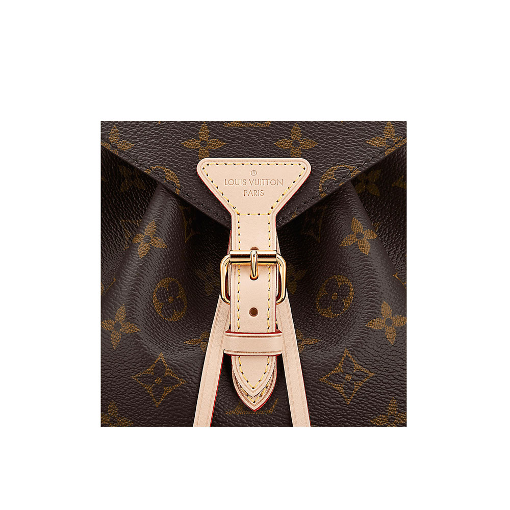 Louis Vuitton Designer Backpack for Women Montsouris M43431 - Photo-4