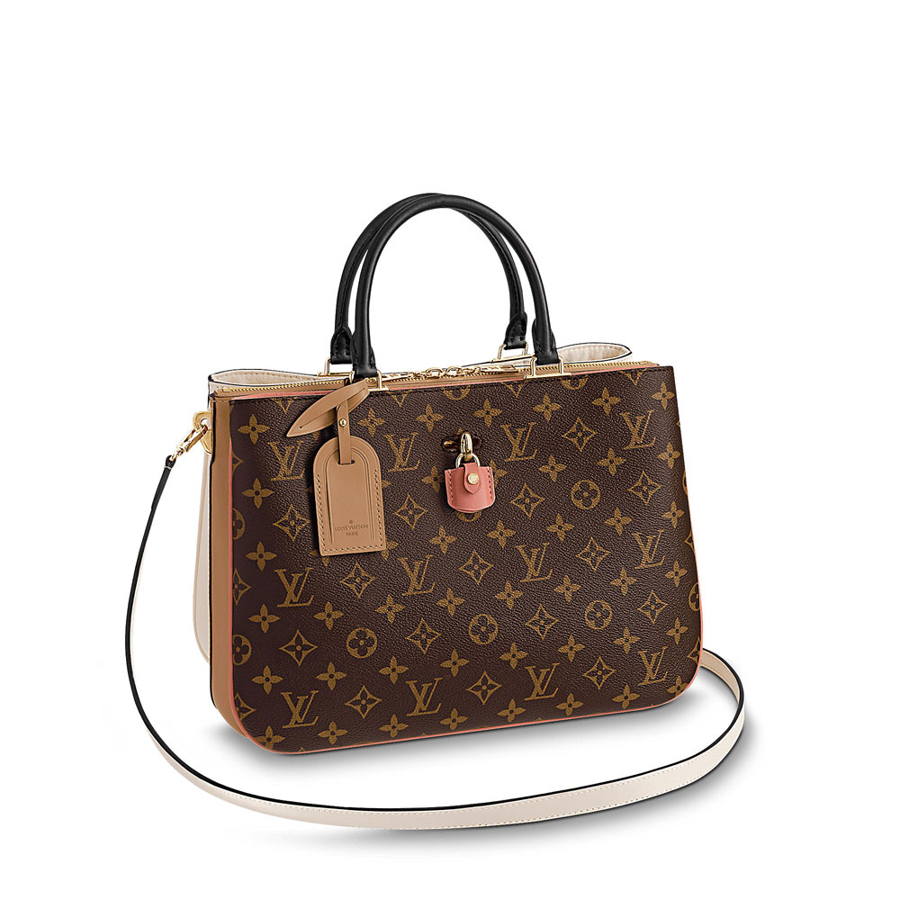 Louis Vuitton Designer Bag in Leather and Monogram Canvas M44255