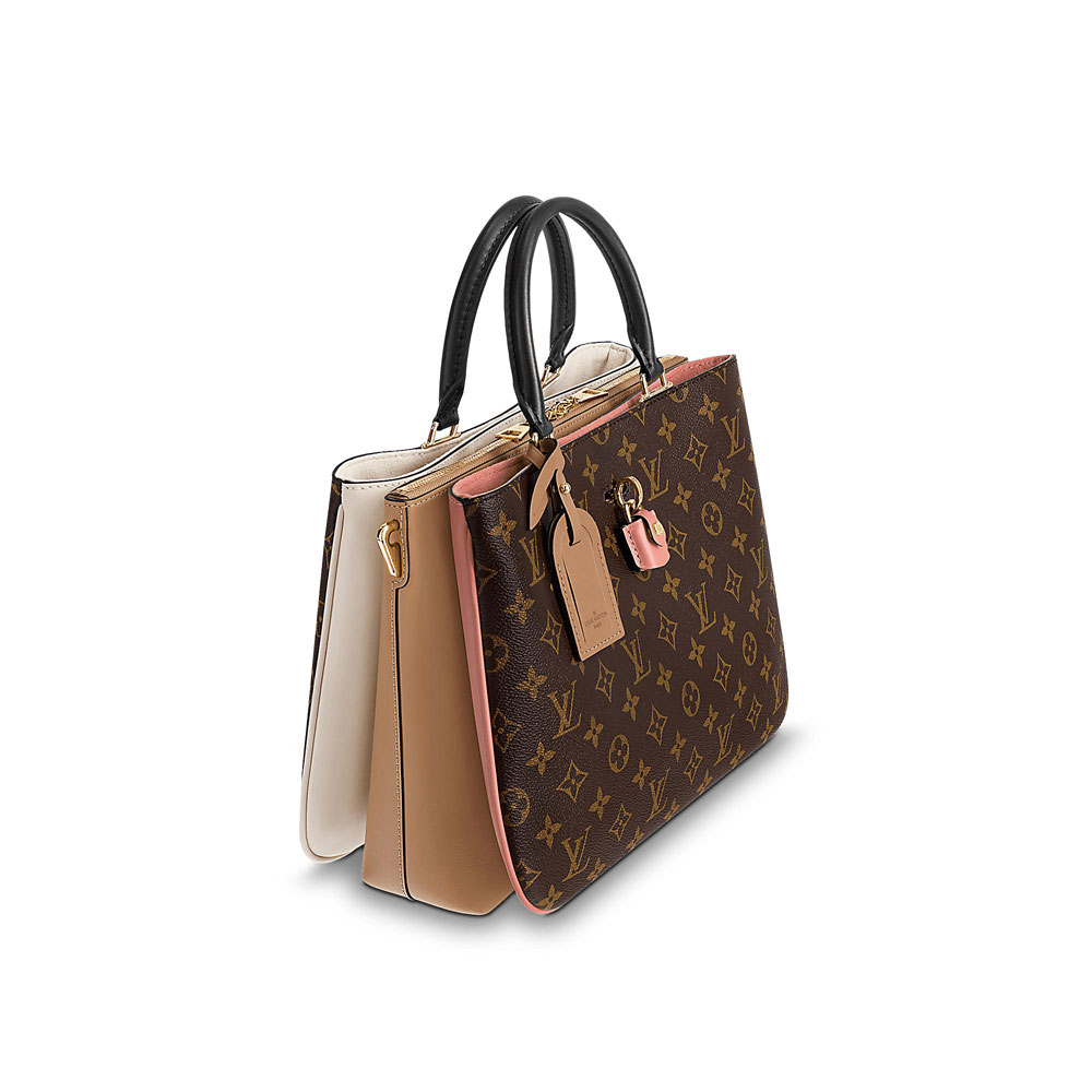 Louis Vuitton Designer Bag in Leather and Monogram Canvas M44255 - Photo-2