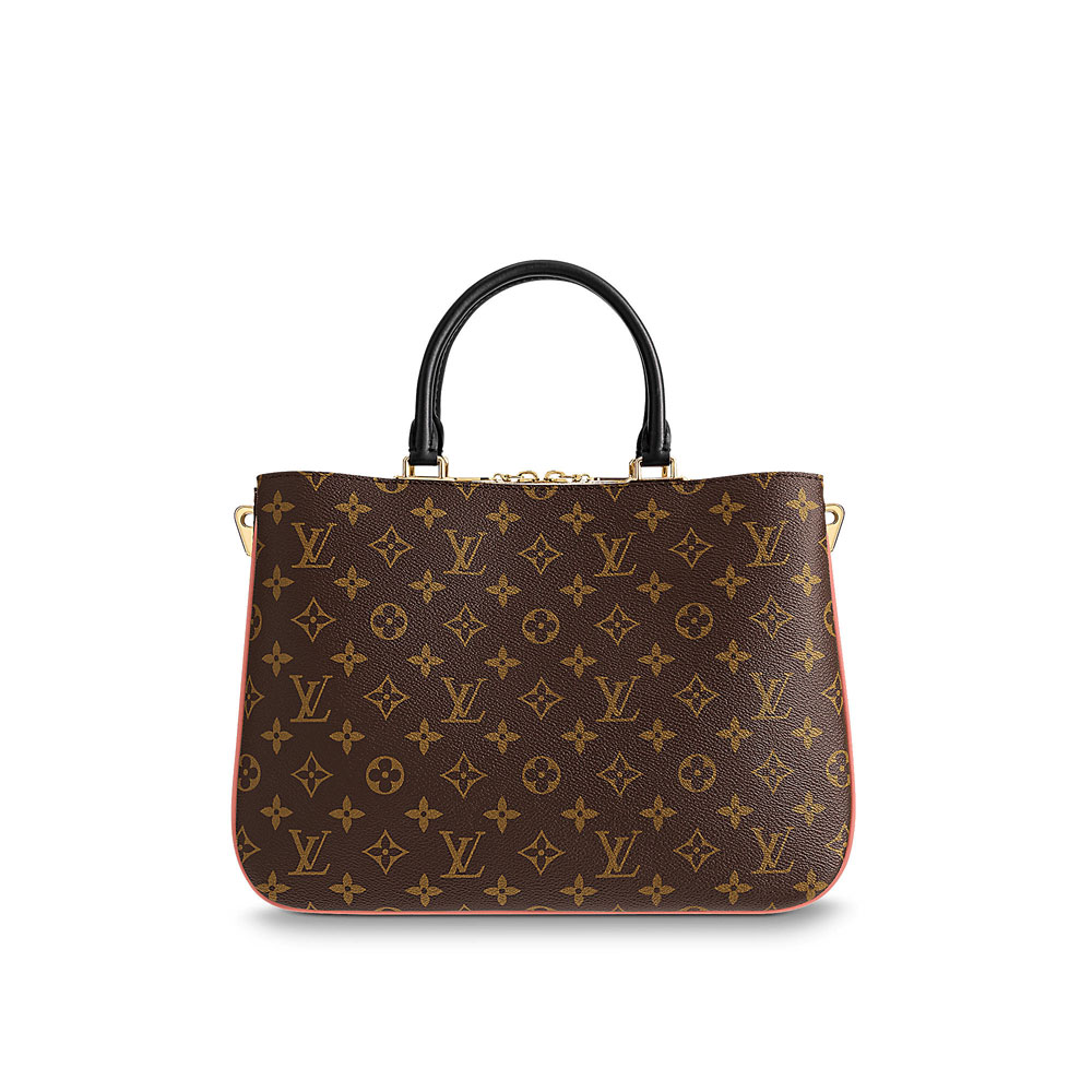 Louis Vuitton Designer Bag in Leather and Monogram Canvas M44255 - Photo-4