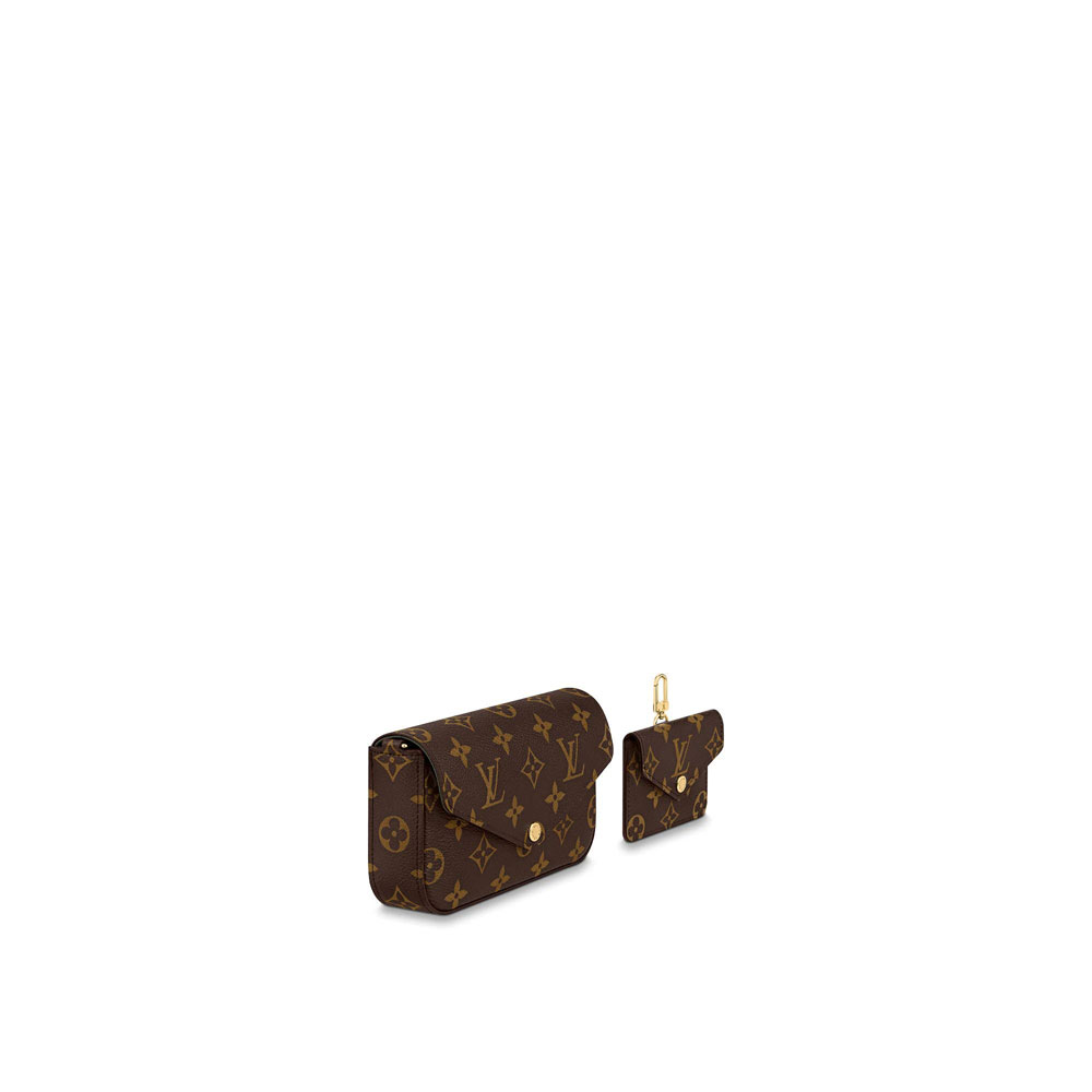 Louis Vuitton Felicie Strap Go Monogram in Brown M80091 - Photo-2