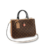 Louis Vuitton Designer Bag in Leather and Monogram Canvas M44255