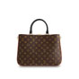 Louis Vuitton Designer Bag in Leather and Monogram Canvas M44255 - thumb-4
