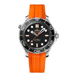 Omega Seamaster 210.32.42.20.01.006 Watch