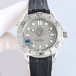 Omega Seamaster 210.32.42.20.06.002 Watch