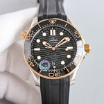 Omega Seamaster 210.62.42.20.01.003 Watch