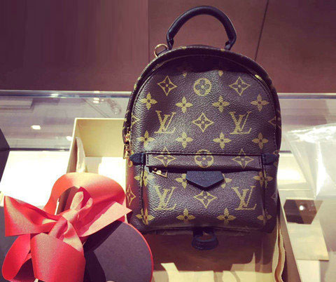 Louis Vuitton Palm Springs Backpack Mini M41562 review image #1