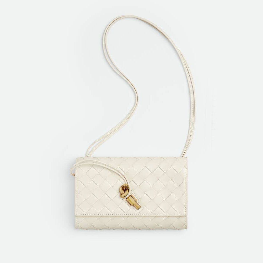 Bottega Veneta Andiamo Pouch in Seasalt 836940 VCPP2 9195