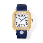 Cartier Santos de Cartier WJSA0008 35.1mm Watch