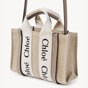 Chloe Mini Woody Tote Bag CHC22AP237I2600O - thumb-2