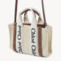 Chloe Mini Woody Tote Bag CHC23AP237K5193C - thumb-2