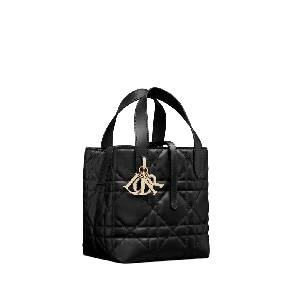 Small Dior Toujours Vertical Tote Bag in Black M2835OSNW M900 - Photo-2