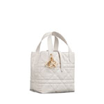 Small Dior Toujours Vertical Tote Bag in White M2835OSNW M030
