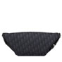 Dior 8 Belt Bag in Black 1EIBO071YKY H03E - thumb-3
