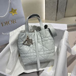 Small Dior Toujours Vertical Tote Bag Ice Blue M2835PSNW M39Z