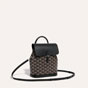 Goyard Alpin Mini Backpack in Black ALPIN2MINTY01CL01P - thumb-4