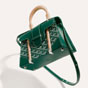 Goyard Saigon Structure Mini Bag in Green SAIGR2MINTY09CL09P - thumb-3