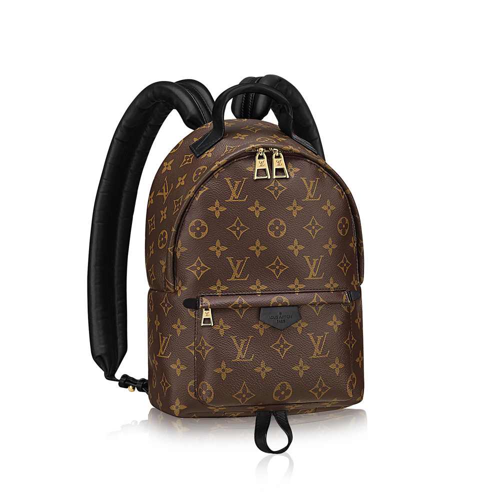 Louis Vuitton Palm Springs Backpack PM M41560