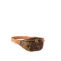 Louis Vuitton Rush Bumbag Other Monogram Canvas M15271 - thumb-2