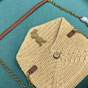 YSL Cassandre Small Chain Pouch In Raffia 847716 GAAFC 2791 - thumb-5